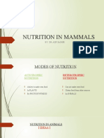Nutrition in Mammals