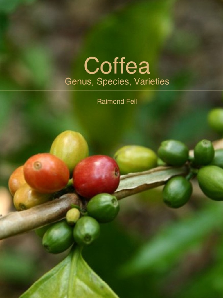 Coffea - Genus, Species, Varieties | PDF | Coffee | Plants