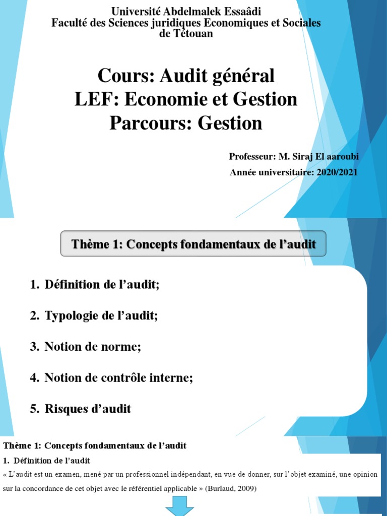 Audit General Theme 1 1 | PDF | Audit financier | Audit