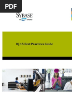 SybaseIQ15 Best Practices Wp20110718