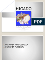 Higado