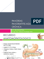 Pancreatitis Aguda y Cronica