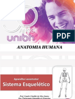 Aula Anatomia Humana - Sistema Esquelético