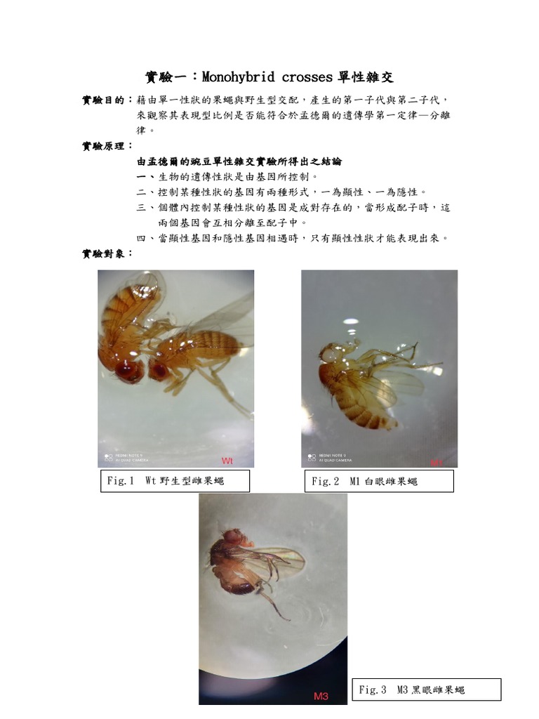 s1024013張祐翔實驗一結報| PDF