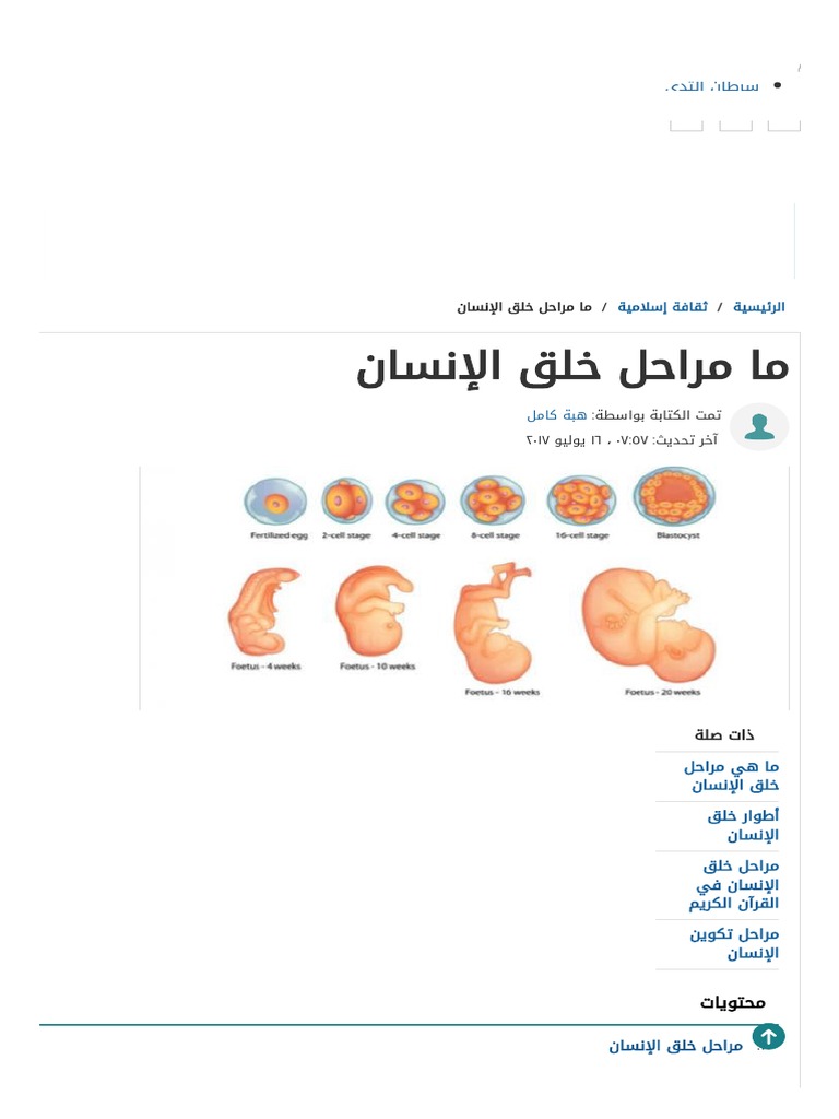ما مراحل خلق الإنسان - موضوع | PDF