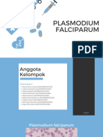 Kelas A 3 Plasmodium Falciparum