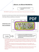 Celulas Procariotas
