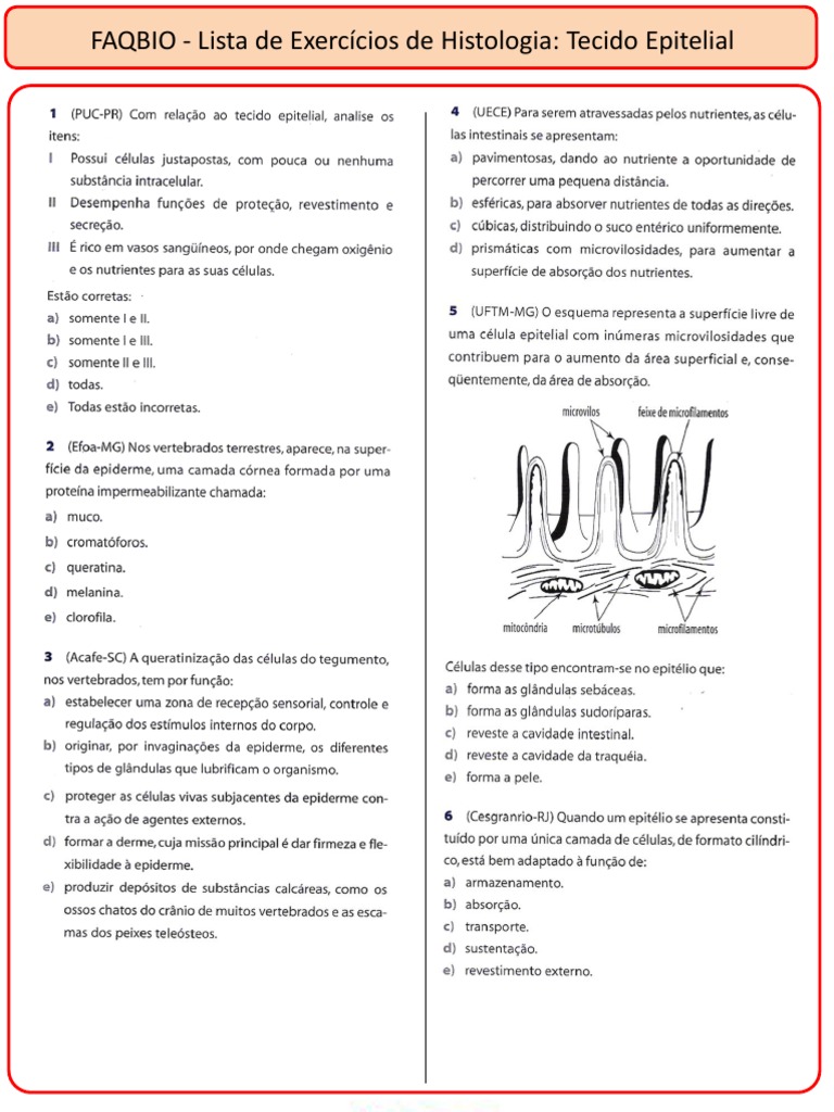 Lista Histologia 1 - Tecido Epitelial | PDF