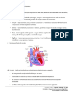 o_sistema_cardiovascular