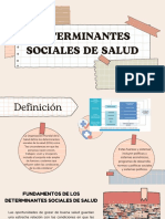 DETERMINANTES SOCIALES DE SALUD