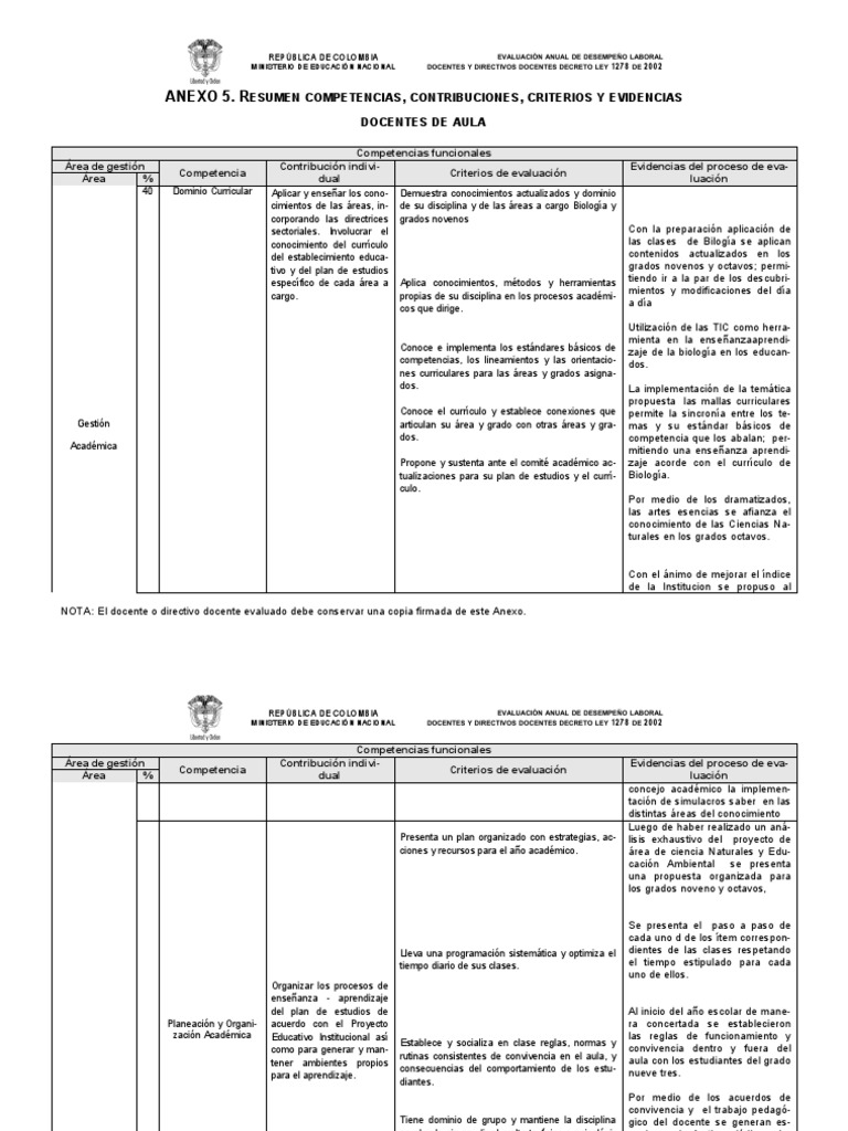 Anexo 5 Docente de Aula | PDF | Evaluación | Plan de estudios