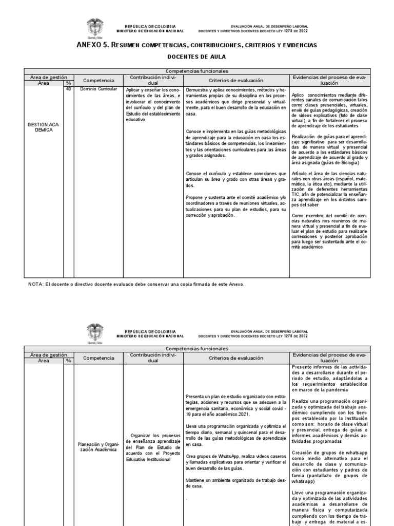 Anexo 5: Evaluación Desempeño Docente 2024 | PDF | Evaluación | Plan de ...