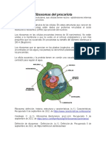 Ribosomas Del Procariota