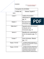 Cronograma de Actividades Español 2