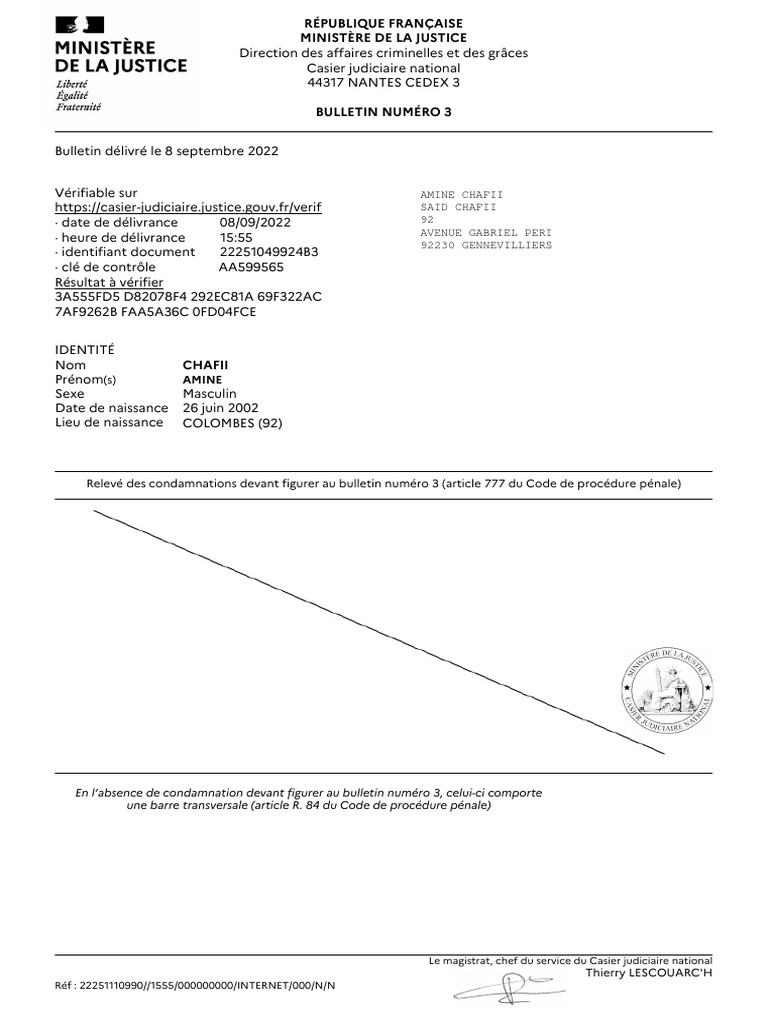 Extrait de casier judiciaire n°3 | PDF | Union européenne | Justice