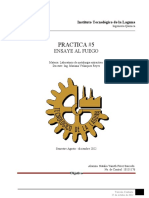 P5. Ensaye Al Fuego