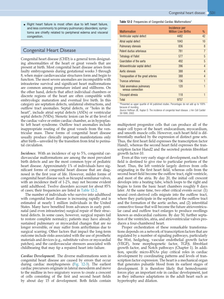 Congenital Heart Disease | PDF | Congenital Heart Defect | Heart