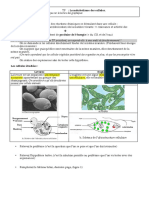 3 TP Metabolisme