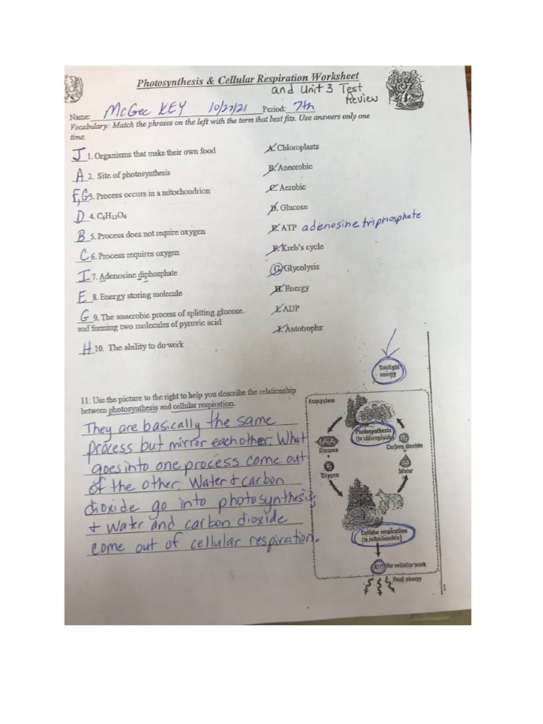 History Grade 9 Unit 4 Review Questions