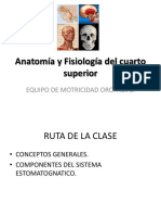 Anatomía y Fisiología Del Cuarto Superior