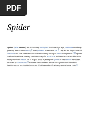 Spider
