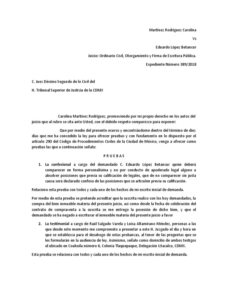 Escrito De Pruebas Pdf M Xico Justicia