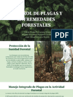 Manejo y Control de Plagas y Enfermedades Forestales