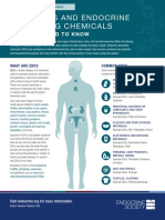 Hormones and EDCs What You Need To Know