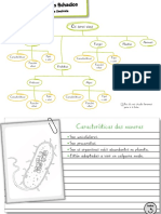 Fichas Resumo UD2 - Moneras, Protoctistas e Fungos