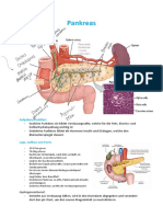 Pankreas ZF