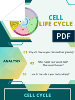 Cell Cycle