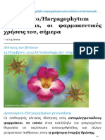 ΑρπαγόφυτοHarpagophytum procumbens οι φαρμακευτικές χρήσεις του σήμερα