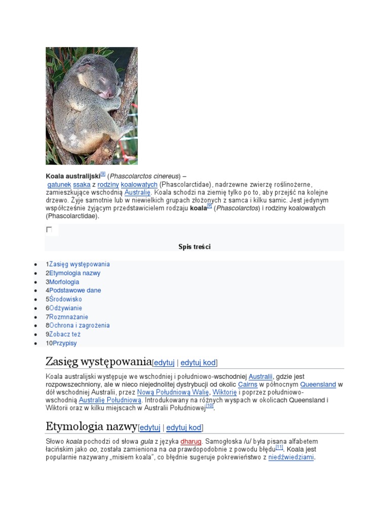 Koala Australijski | PDF