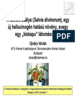 Ujvary Latnoki Zsalya 2005