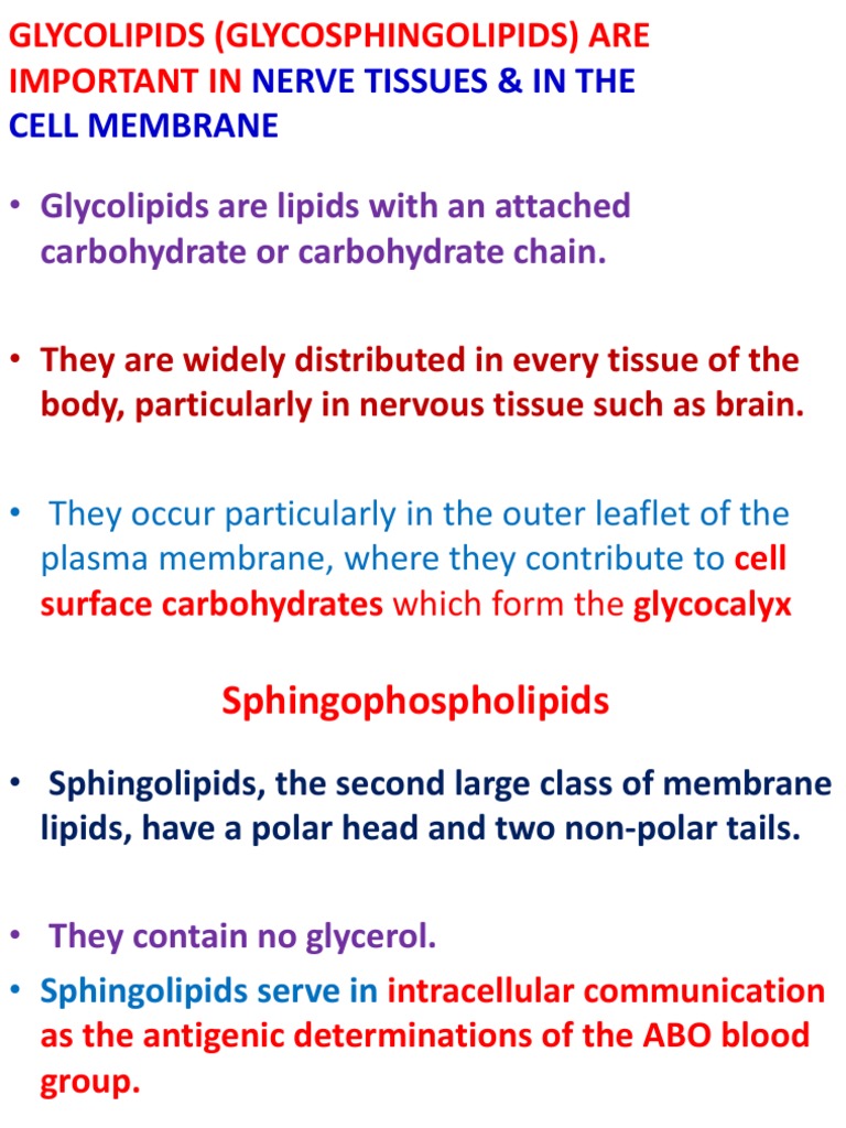 Chemistry of COMPOUND Lipids | PDF | Lipid | Lipoprotein