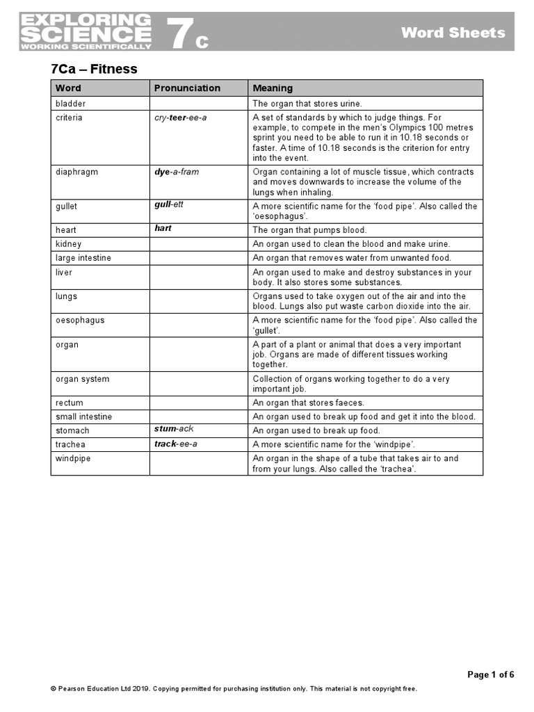 7C Word Sheet | Download Free PDF | Exhalation | Breathing