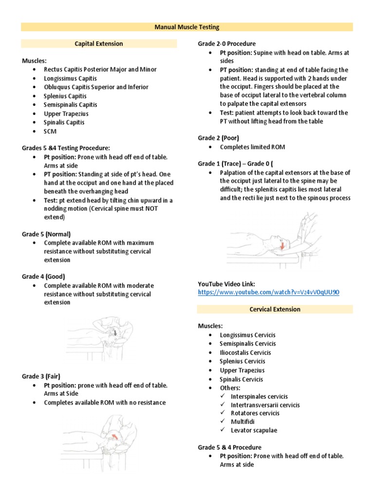 Manual Muscle Testing | PDF | Anatomical Terms Of Motion | Shoulder