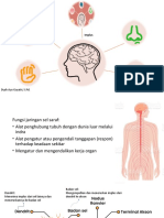 Sistem Syaraf (Neuron) 04.12.22