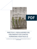 Práctica: Reguladores Del Crecimiento en Plantas (I) : Auxinas y Citoquininas