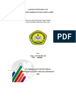 LAPORAN PENDAHULUAN SITI ROMLAH(1)