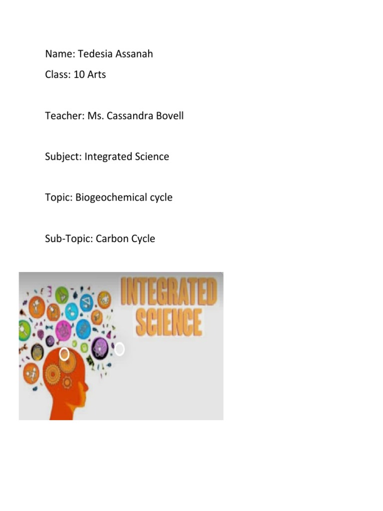 Carbon Cycle Worksheet for Students | PDF