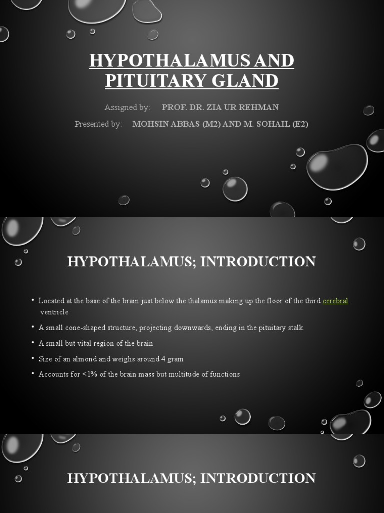 Hypothalamus and Pituitary Gland Overview | PDF | Luteinizing Hormone ...