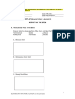 Activity 10 - The Stem (Instruction Sheet)