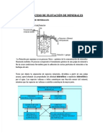 PDF Proceso de Flotacion de Minerales Compress