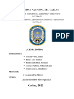 Informe Fisicoquimica 5