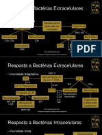 Lafim - Resposta Imune A Microorganismos