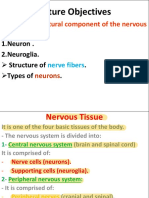 Nervous Tissue Modified 2020