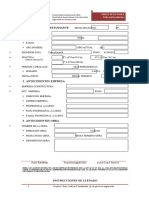 Anexo - 01 - Ficha - Antecedentes - Plan - 4