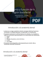 Anatomía y Función de La Región Bucofacial