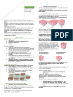 AnaPhyLec Midterms Tissue